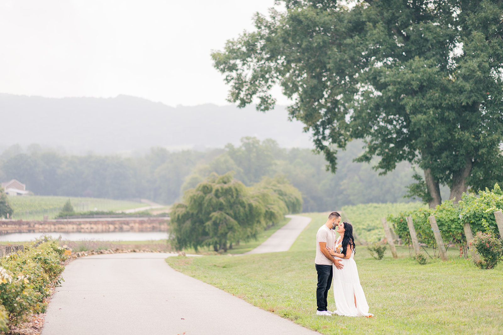 Vineyard maternity photography with soft, romantic tones