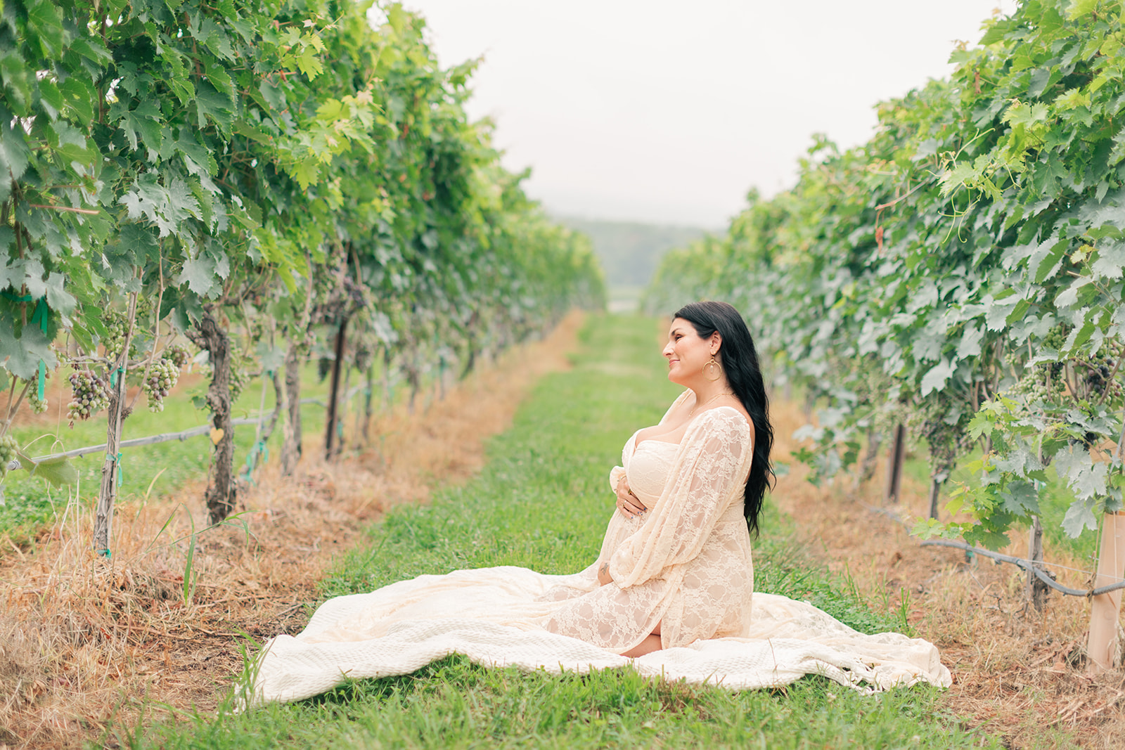 Backlit maternity portrait in grapevines