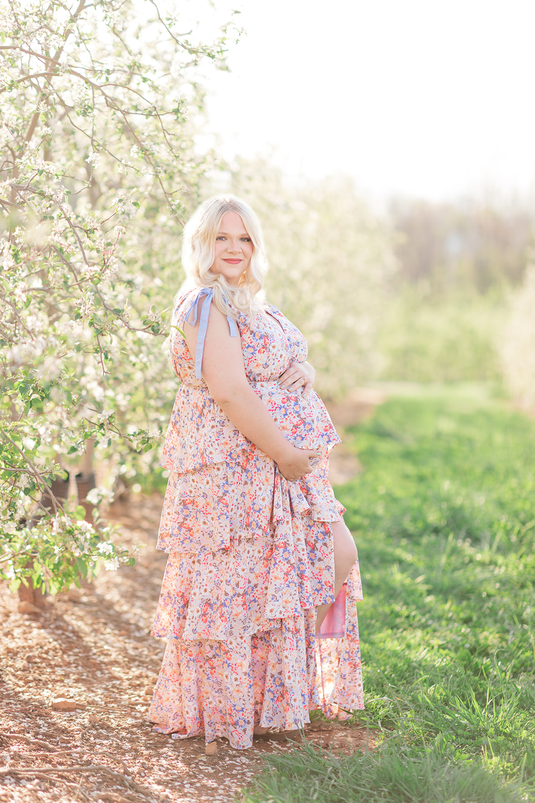 Golden hour maternity portrait at Perry Lowe Orchards