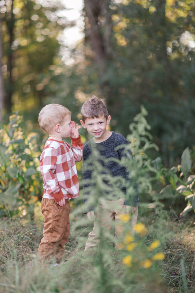 Toddler boy whispering secrets to his brother in a fall field. 