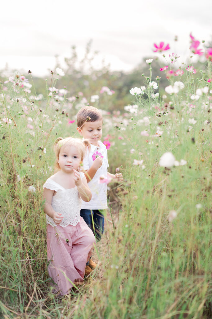 Little girl and boy in family photos picking wildflowers looking at camera. 