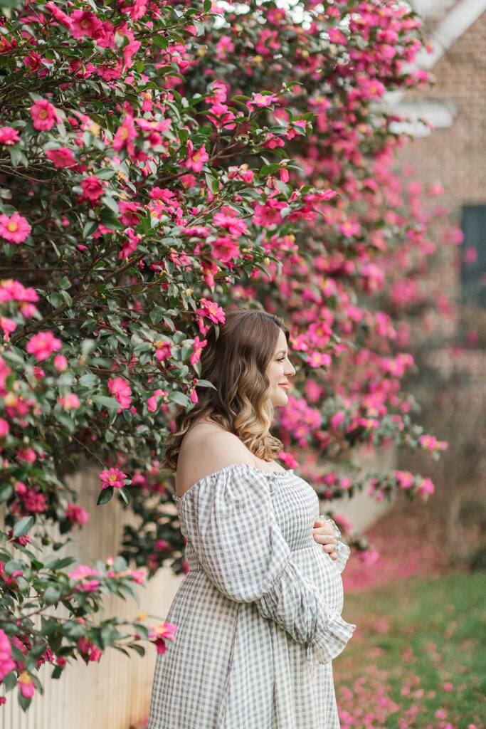 Expecting mother during maternity session with Hannah Elizabeth Photography at a wall of camellia blooms near Statesville, NC. 